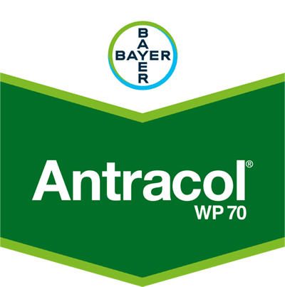 Antracol® WP 70 Antracol® WP 70