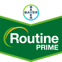 ROUTINE® PRIME